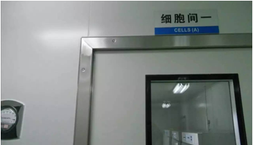 细胞实验室设计 细胞实验室设计