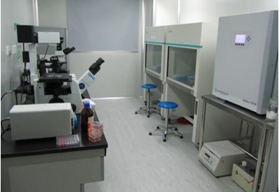 细胞培养实验室设计应具备的基本布局