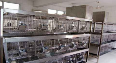 SPF级动物实验室设计应该重视什么？关注卫生、重视水电