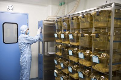 建设动物实验室需要注意什么？