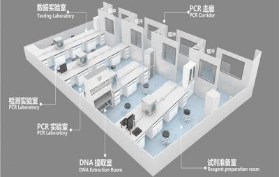 PCR实验室设计装修方案